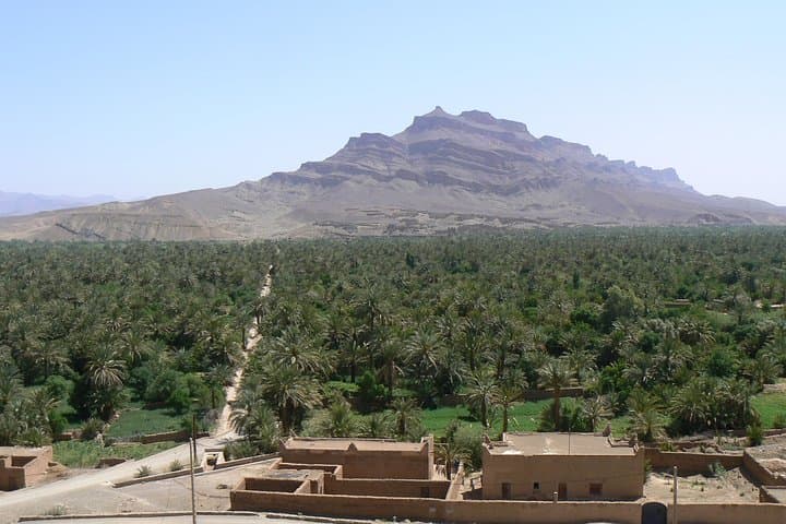 Erg Chigaga Desert Trek from Marrakech — Oasis, Dromedaries & Sahara Camping photo 4