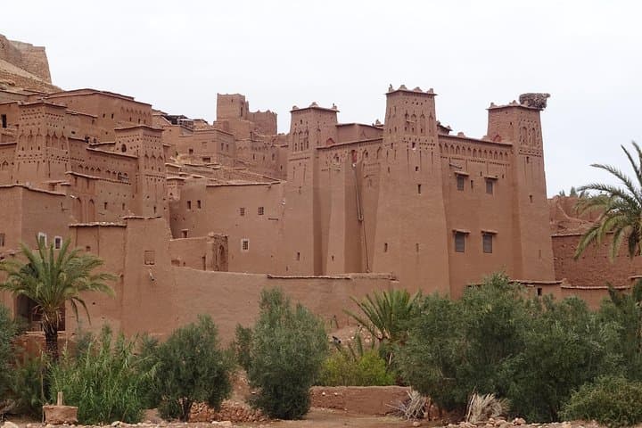 Erg Chigaga Desert Trek from Marrakech — Oasis, Dromedaries & Sahara Camping photo 5