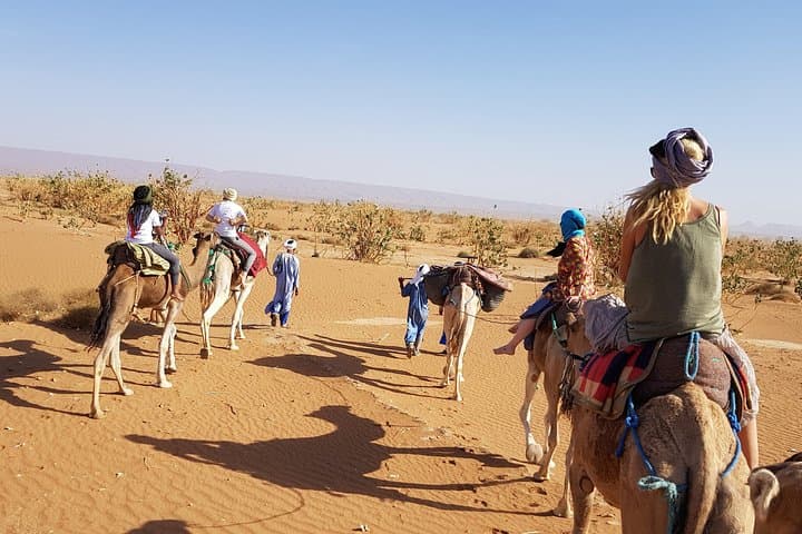 Erg Chigaga Desert Trek from Marrakech — Oasis, Dromedaries & Sahara Camping photo 6