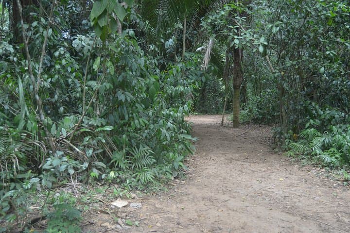 San Ignacio Cave Kayaking and Ziplines — Caves Branch River Private Adventure photo 4