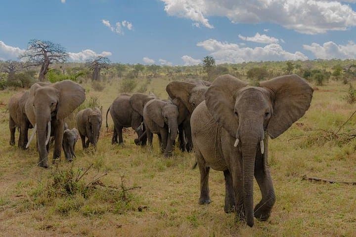 3-Day Tanzania Safari: Ngorongoro, Tarangire & Lake Manyara photo 1