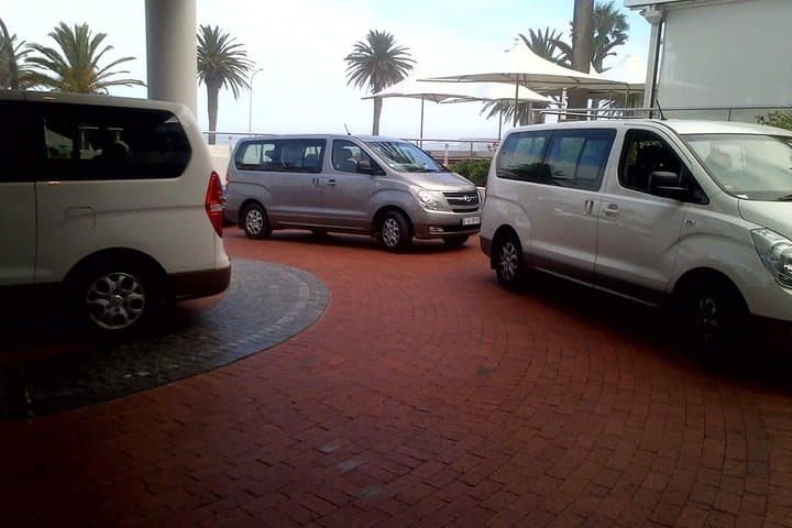 Cape Peninsula Full Day Tour: Cape Point, Penguins & Scenic Drives photo 6