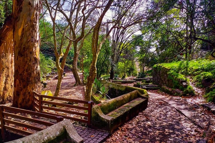 Monchique Half-Day Tour from Lagos: Fóia Summit & Caldas Spa