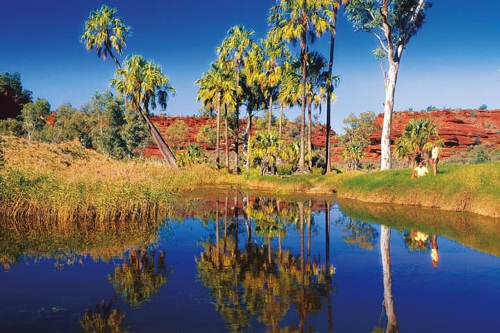Palm Valley 4WD Tour from Alice Springs: Finke Gorge Oasis & Amphitheatre photo 4