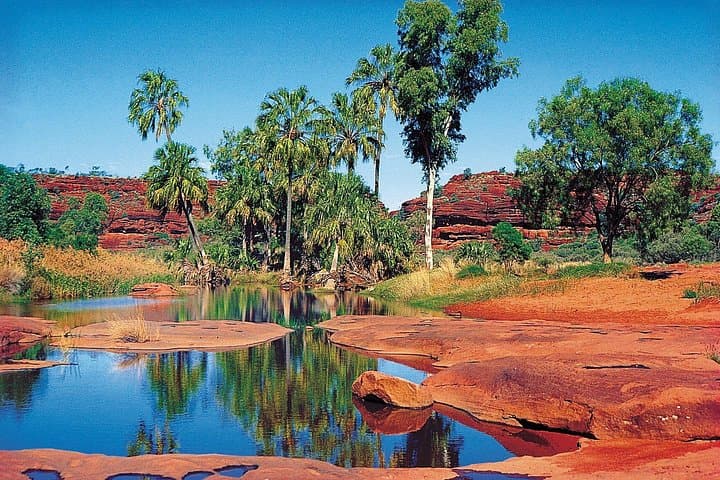 Palm Valley 4WD Tour from Alice Springs: Finke Gorge Oasis & Amphitheatre photo 2