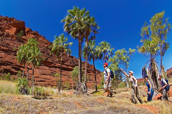 Palm Valley 4WD Tour from Alice Springs: Finke Gorge Oasis & Amphitheatre photo 1