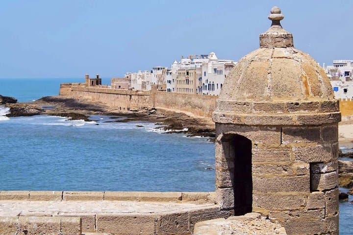 Day Trip from Marrakech to Essaouira — Mogador Coastal Walk, Argan Goats & Medina Tour photo 4