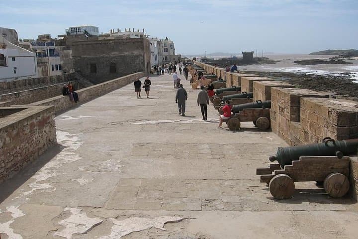 Day Trip from Marrakech to Essaouira — Mogador Coastal Walk, Argan Goats & Medina Tour photo 5