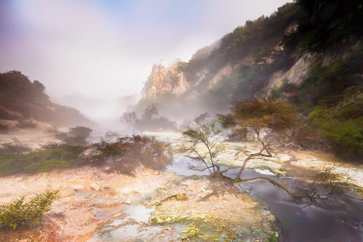 Rotorua Morning Tour: Wai-O-Tapu & Waimangu Volcanic Valley photo 4