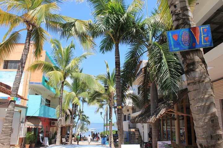 Discover the Best Beaches in Sayulita and San Pancho photo 3