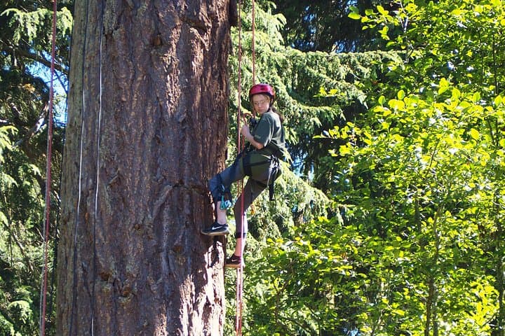 Experience Tree Canopy Climbing on Lopez Island’s Old-Growth Giants photo 2