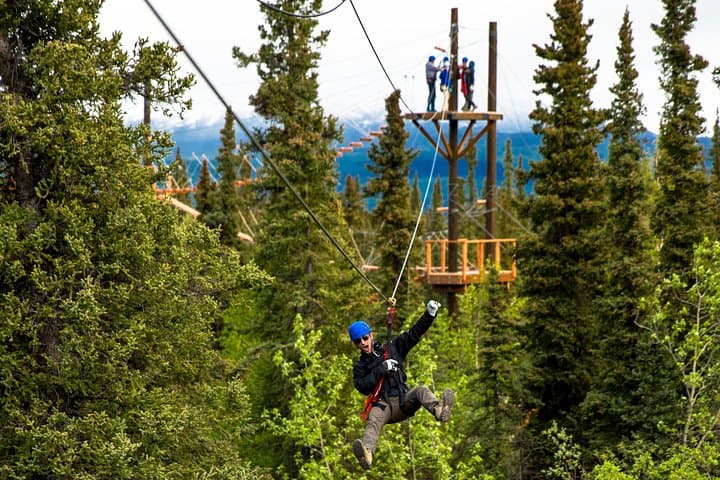 Denali Park Zipline Adventure — Soar Above Alaskan Tundra & Boreal Forest