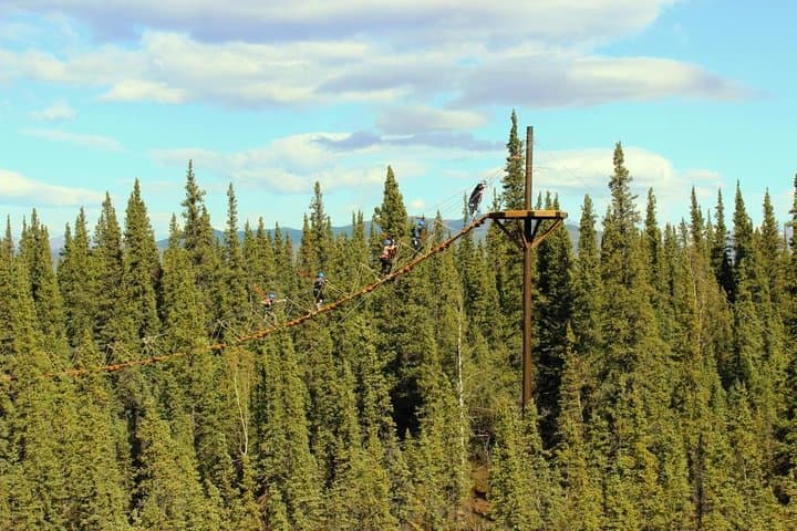 Denali Park Zipline Adventure — Soar Above Alaskan Tundra & Boreal Forest photo 2