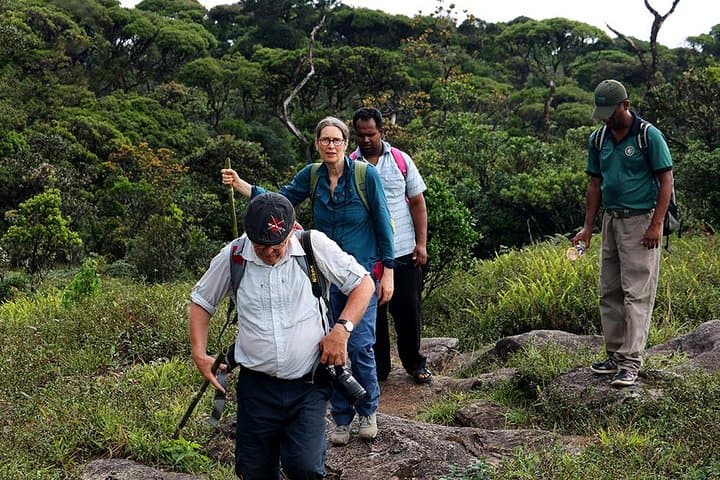 Central Highlands UNESCO Adventure: 6-Day Trekking Tour in Sri Lanka's Highlands photo 1