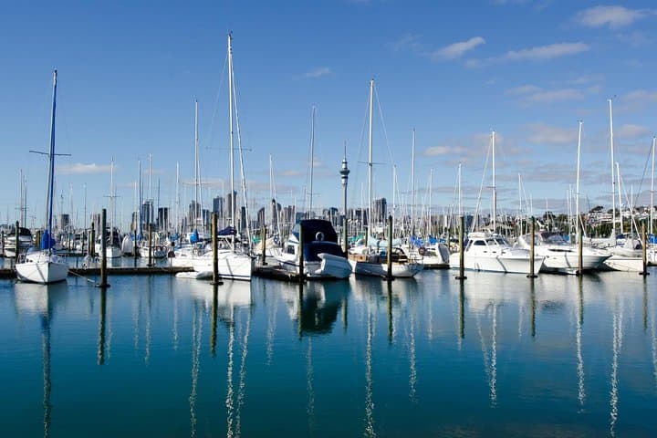 Half-Day Discover Auckland: Scenic City Sightseeing Tour photo 4