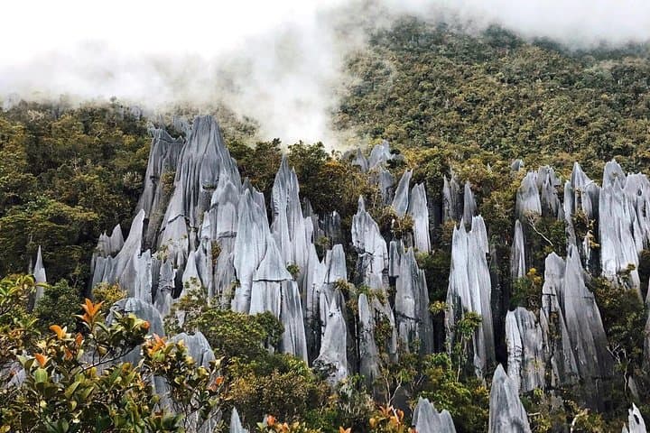 Mulu National Park: 3-Day Cave Circuit — Deer Cave, Clearwater & Wind Cave