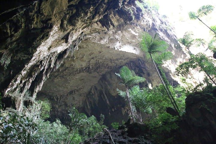 Mulu National Park: 3-Day Cave Circuit — Deer Cave, Clearwater & Wind Cave photo 5