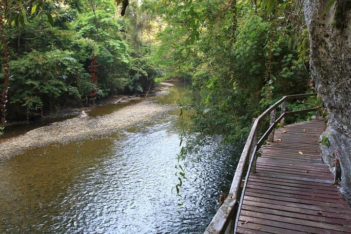 Mulu National Park: 3-Day Cave Circuit — Deer Cave, Clearwater & Wind Cave photo 3