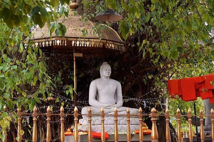 Colombo Countryside Cycling Expedition: Pedal Past Paddy Fields & Sacred Temples photo 6