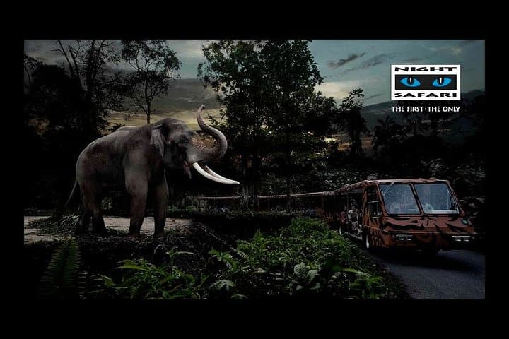 Singapore Night Safari Tour with Transfer: After-Dark Wildlife Tram & Shows photo 2