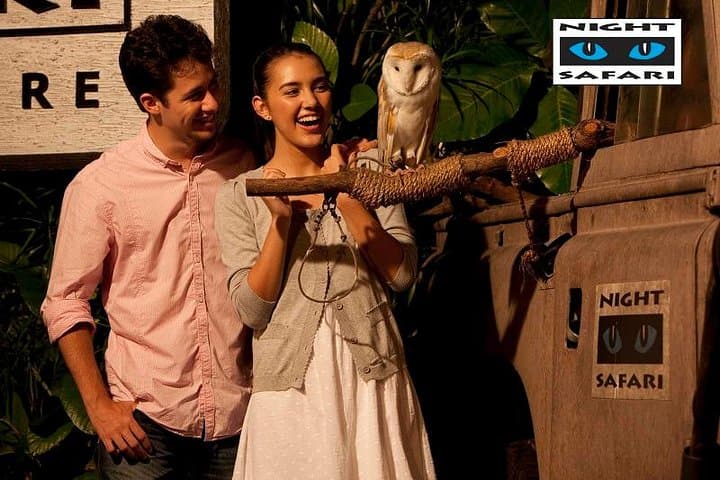 Singapore Night Safari Tour with Transfer: After-Dark Wildlife Tram & Shows photo 3