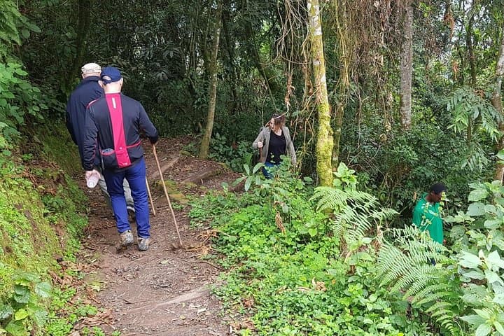 Nyungwe Canopy Walk and Lake Kivu 3-Day Adventure from Kigali photo 2