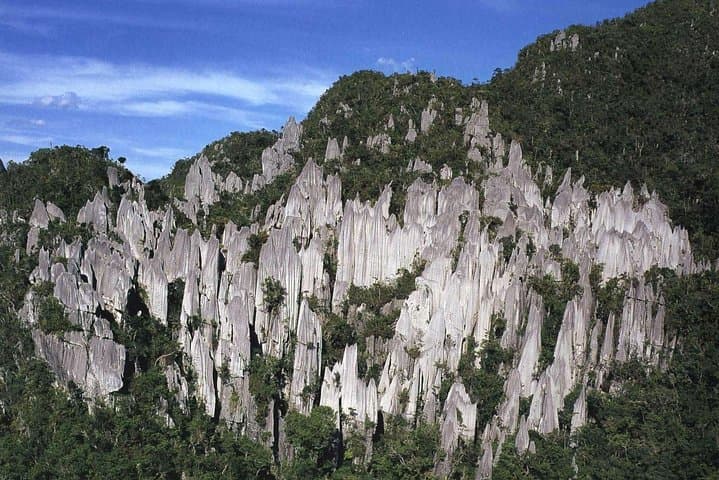 Mulu’s Four Showcaves and Pinnacles: 4-Day Jungle Trek and Bat Exodus