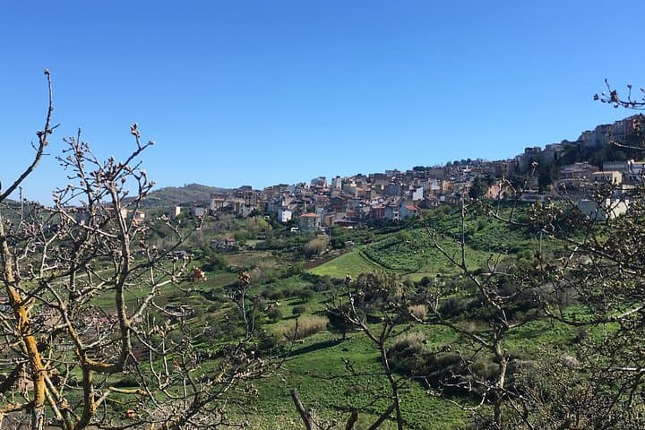 Rural Sicily Day Ride: Train-to-Trail Biking from Palermo to Caccamo photo 4