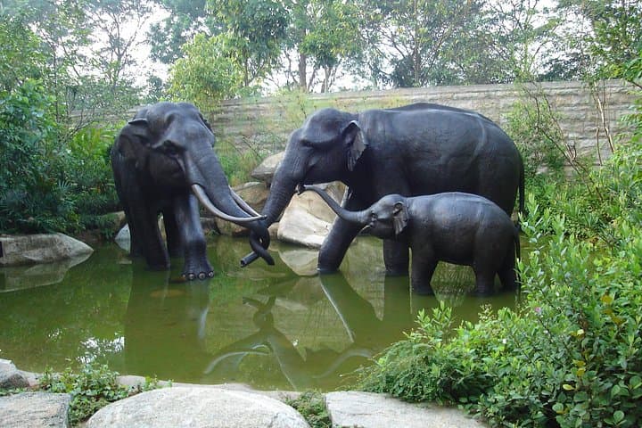 Singapore Zoo Morning: Jungle Breakfast with Orangutans & One-Way Transfer photo 4