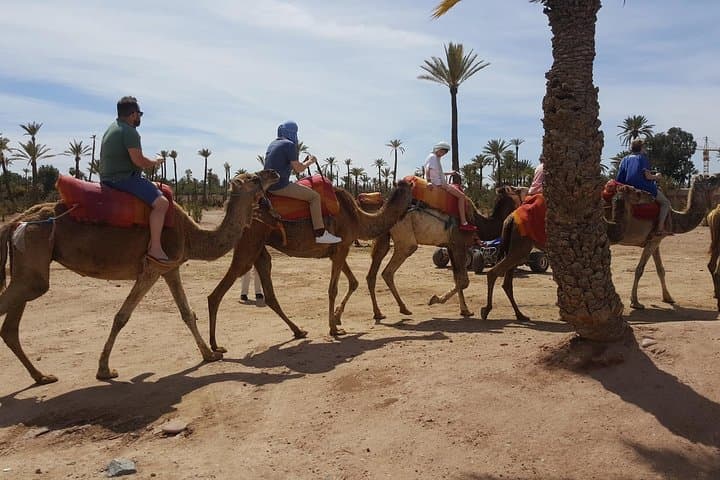Camel Ride Through Marrakech's Palmeraie: Half-Day Oasis Experience photo 5