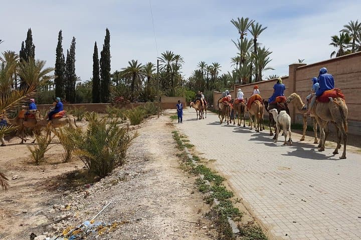 Camel Ride Through Marrakech's Palmeraie: Half-Day Oasis Experience photo 6