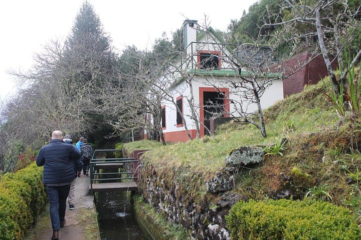 Off-Road Madeira: NW Landscapes, UNESCO Forests & Volcanic Pools 4x4 Tour photo 5