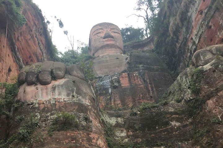 Chengdu in One Day: Panda Base & Leshan Giant Buddha Private Tour photo 3