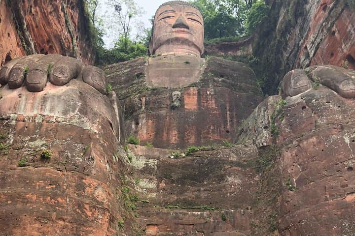 Chengdu in One Day: Panda Base & Leshan Giant Buddha Private Tour photo 5