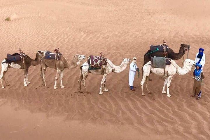 Fez to Merzouga 2-Day Private Desert Tour — Camel Trekking & Overnight in Erg Chebbi photo 1