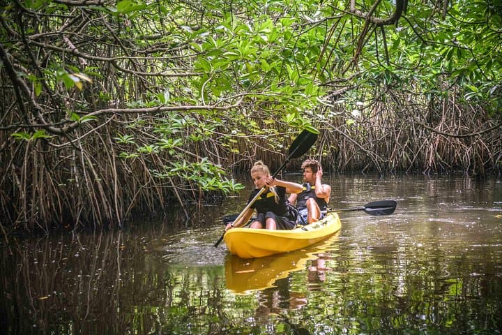 Madu River Sunrise Mangrove Kayaking Retreat — Ahungalla Sunrise Paddle photo 4