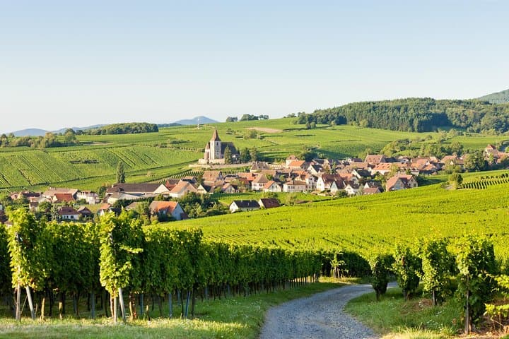 Alsace Day Trip from Strasbourg: Colmar, Eguisheim, Riquewihr & Haut-Koenigsbourg Castle photo 5