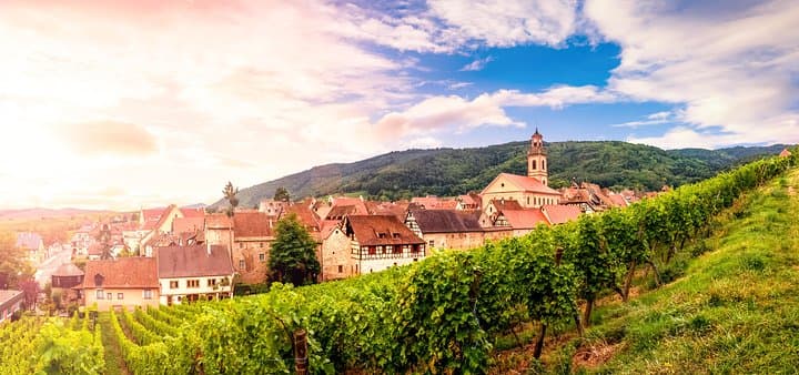 Alsace Day Trip from Strasbourg: Colmar, Eguisheim, Riquewihr & Haut-Koenigsbourg Castle photo 2