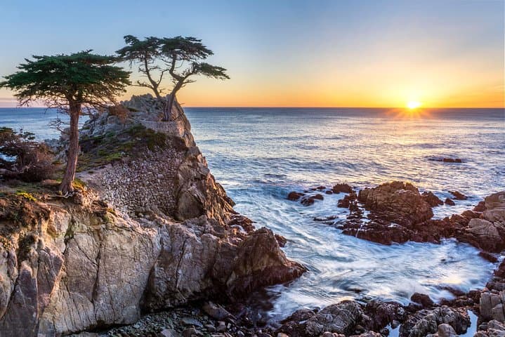 Monterey and Carmel Coastal Day Trip: 17-Mile Drive, Cannery Row & Lone Cypress from San Francisco