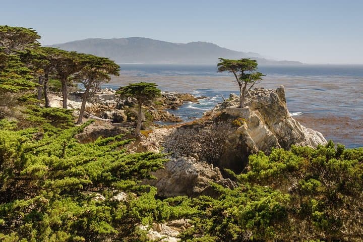 Monterey and Carmel Coastal Day Trip: 17-Mile Drive, Cannery Row & Lone Cypress from San Francisco photo 5