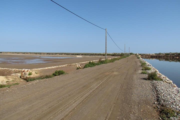 Half-Day Birdwatching in Ria Formosa: Flamingos & Saltpan Walks from Tavira photo 2
