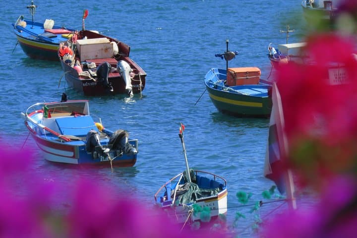 Madeira Sea Cliffs & Câmara de Lobos 4WD Half-Day Tour Guide