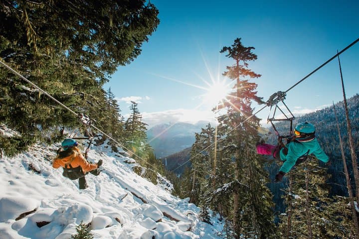 Superfly Ziplines on Cougar Mountain — Whistler’s Four-Line Dual Zip Experience photo 3