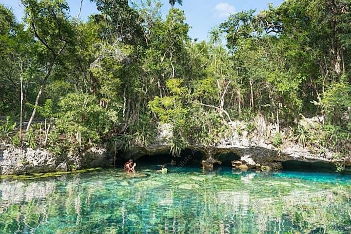 Akumal Turtle & Cenote Private Tour — Swim with Sea Turtles and Explore a Cenote photo 6