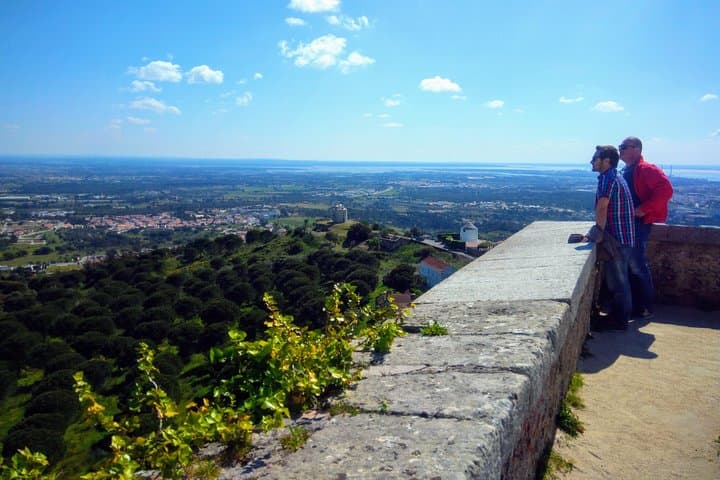 Private Luxury Wine Tours from Lisbon — Arrábida, Setúbal & Évora photo 4