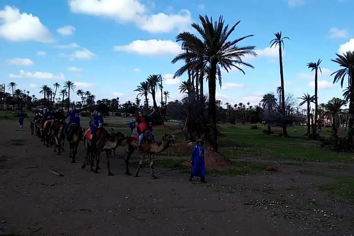 Camel Ride in Marrakech Palm Grove: 1-Hour Dromedary Trek & Mint Tea photo 2