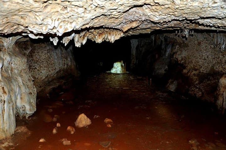 Kiwengwa Caves & Pongwe Forest Reserve: Coral Rag Caves Tour in Zanzibar photo 3