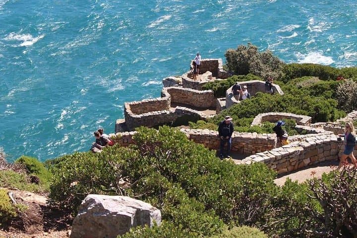 Cape Point & Boulders Beach Penguin Explorer — Full-Day Cape Peninsula Tour