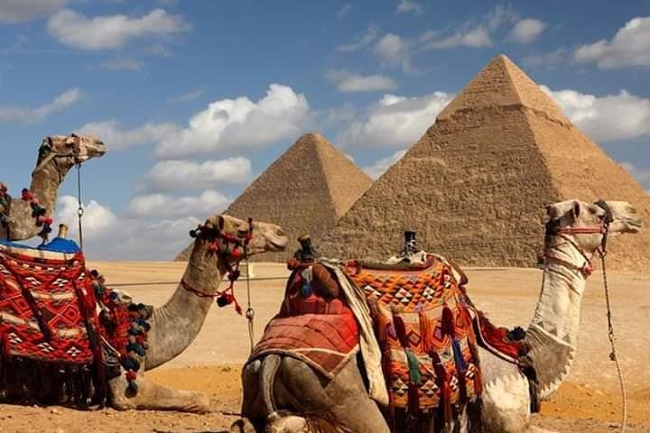 Sunset Camel Ride at Giza Pyramids with Local Desert Dinner