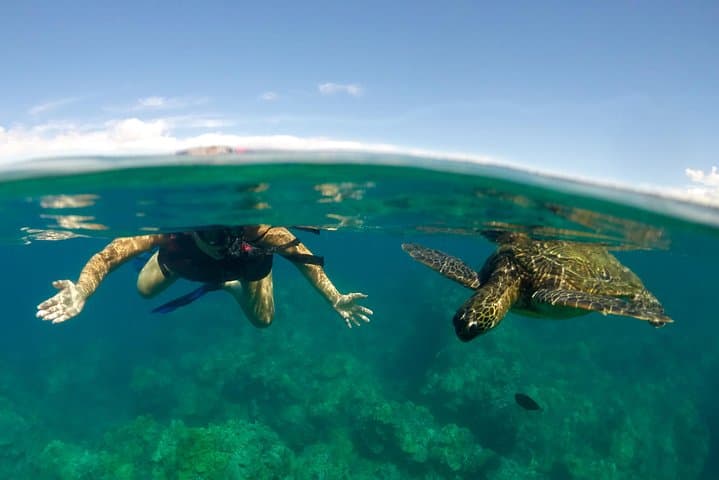 Maui Makena Bay: Paddle, Snorkel & Learn to Surf in One Day photo 2